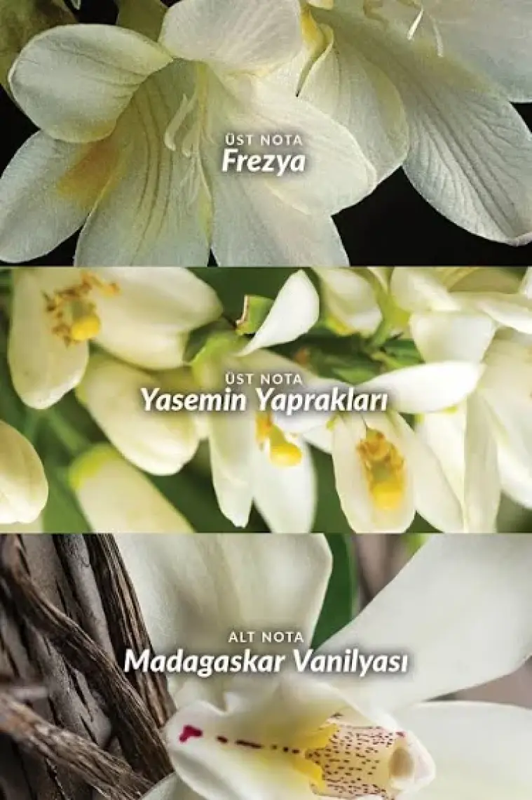 Avon Far Away Kadın Parfüm Ikili Set + Roll-on Paketi