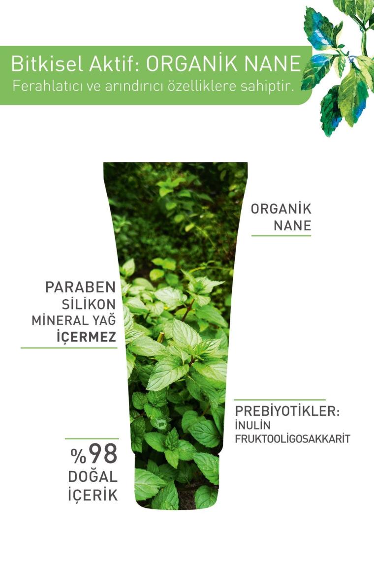 Karma Ve Yağlı Ciltler Için Pure Menthe Kil Maske-75 ml