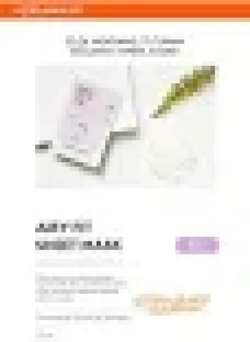 MISSHA İnci Özlü Aydınlık Görünüm Sunan Yaprak Maske (1ad) Airy Fit Sheet Mask Pearl