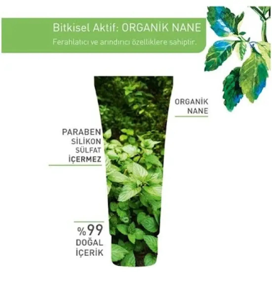 Karma-Yağlı-Sivilce Eğilimli Cilt, Arındırıcı, Temizleyici, Prebiyotik Yüz Peeling-Pure Menthe-75ml