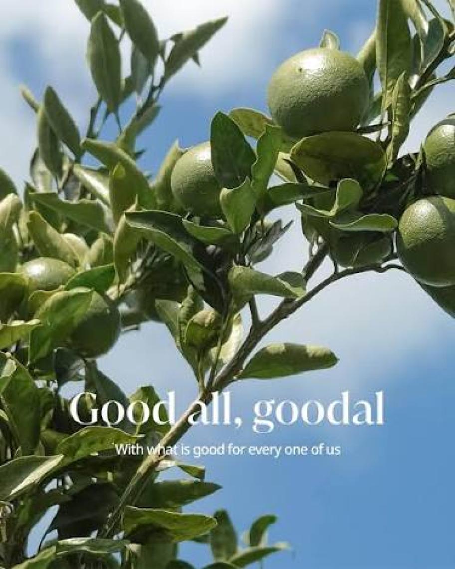 Goodal Green Tangerine Vita C Radiance Mask - Yeşil Mandalina Özlü Işıltı Maskesi