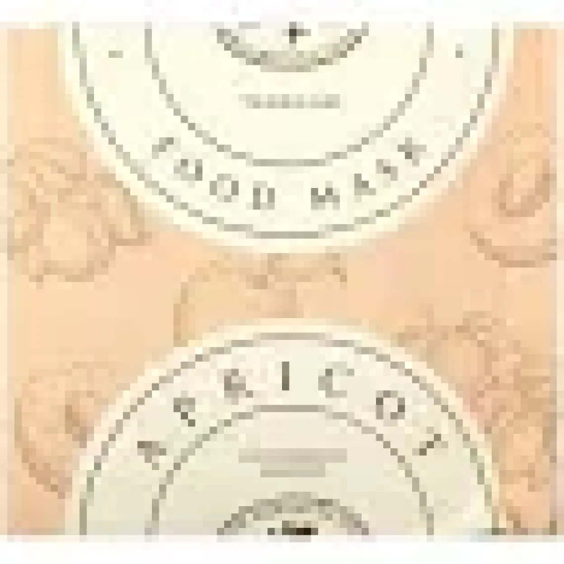 Skinfood Apricot Food Mask 120gr