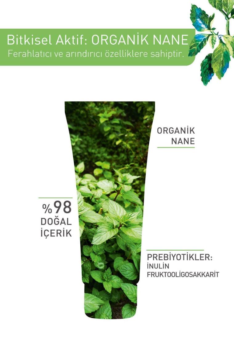 Karma, Yağlı Ve Akneye Eğilimli Ciltler Için Pure Menthe Kömür Maske-75 ml