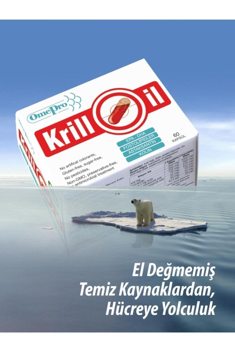 Anti Krill Oil (Krill Yağı) 60 Likit Kapsül