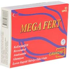 Mega Fert Koenzim Q10 200 Mg 30 Kapsül