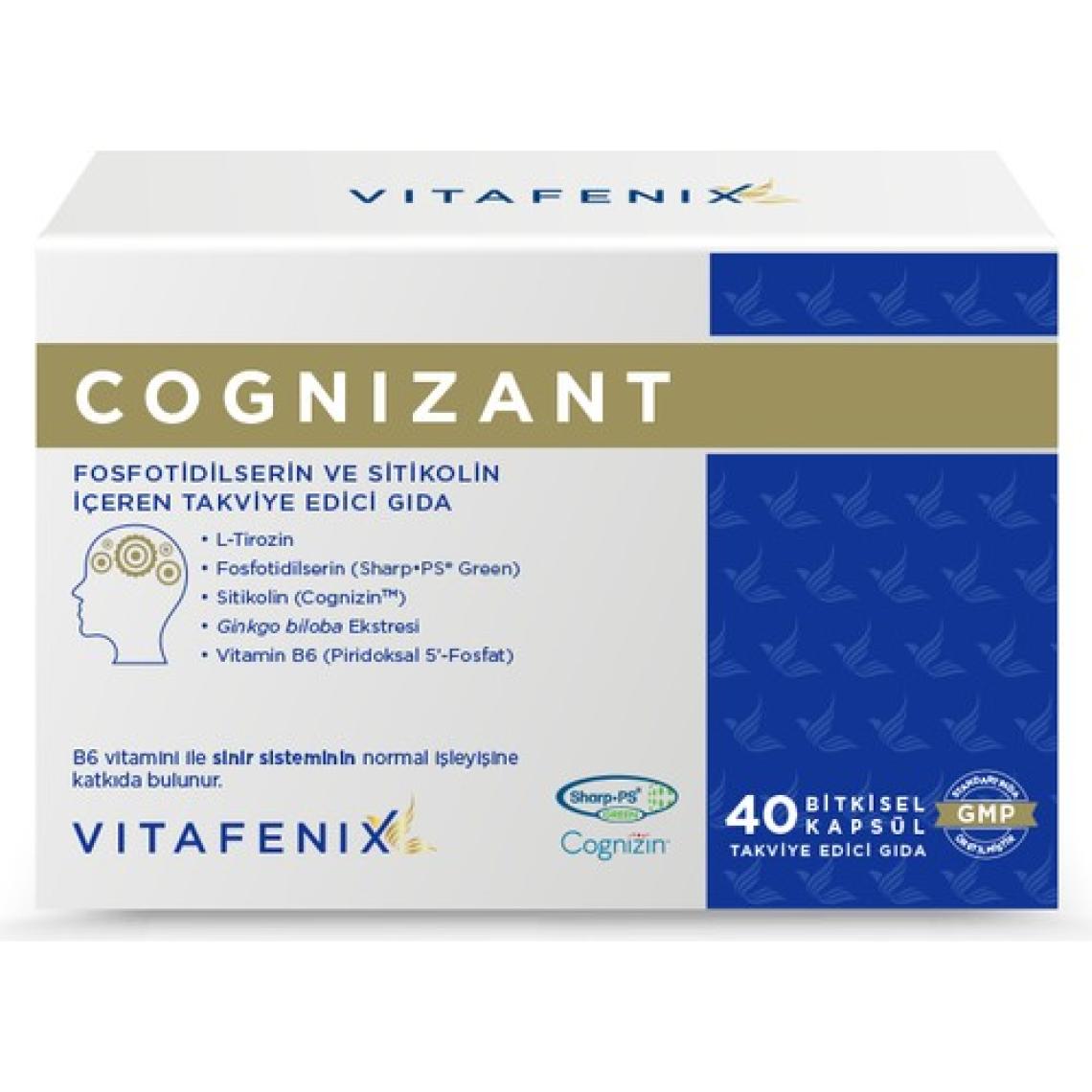 Vitafenix Cognizant Fosfotidilserin ve Sitikolin İçeren Takviye Edici Gıda 40 Kapsül