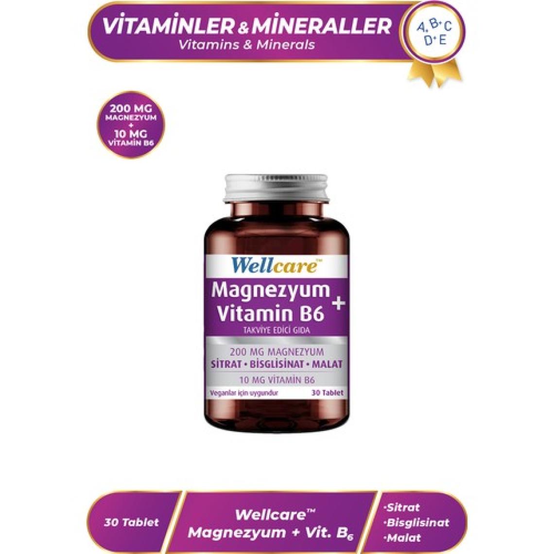 Wellcare Magnezyum+Vitamin B6 Takviye Edici Gıda 30 Tablet