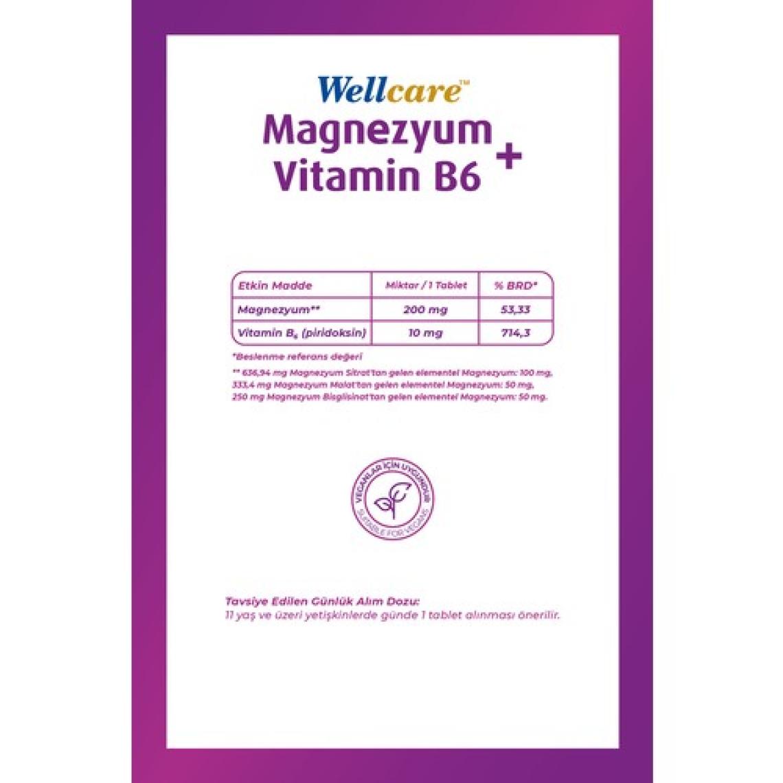 Wellcare Magnezyum+Vitamin B6 Takviye Edici Gıda 30 Tablet