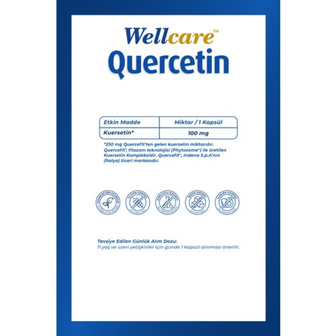 Wellcare Quercetin 100 Mg 60 Kapsül