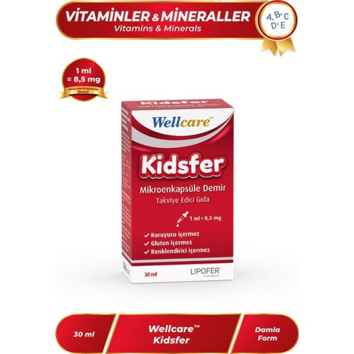 Wellcare Kidsfer Demir Damla 30 ml