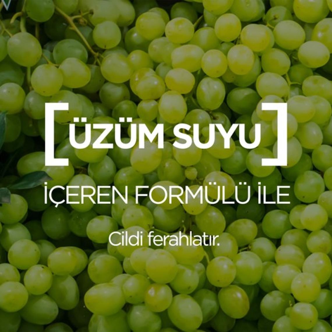Garnier Botanik Ferahlatıcı Makyaj Temizleme Sütü 200Ml