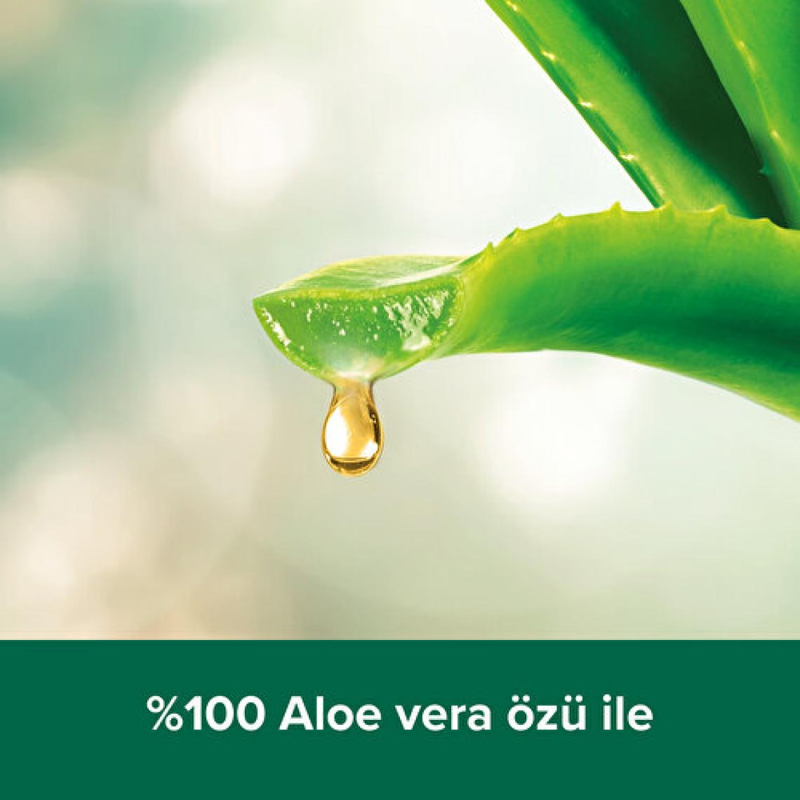 Palmolive Spa Therapy Clay Detox 500 ml Duş Jeli