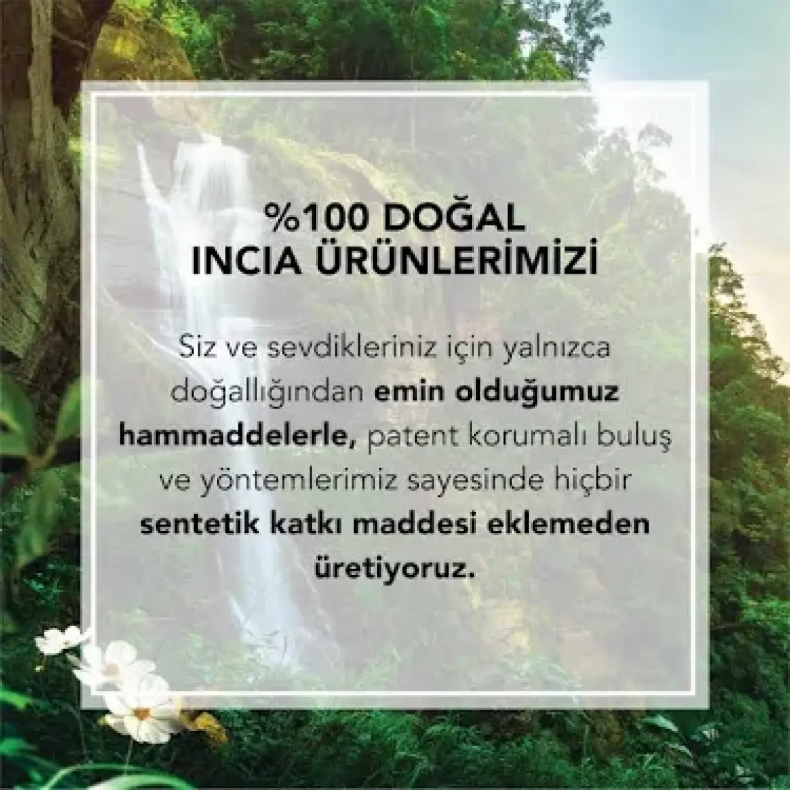 INCIA %100 Doğal Sıvı Kastil Sabunu Arındırıcı Zeytinyağlı 10 Bitkisel Değerli Yağ Vegan 250 ml