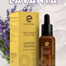 Lavanta Uçucu Yağı 10 ml