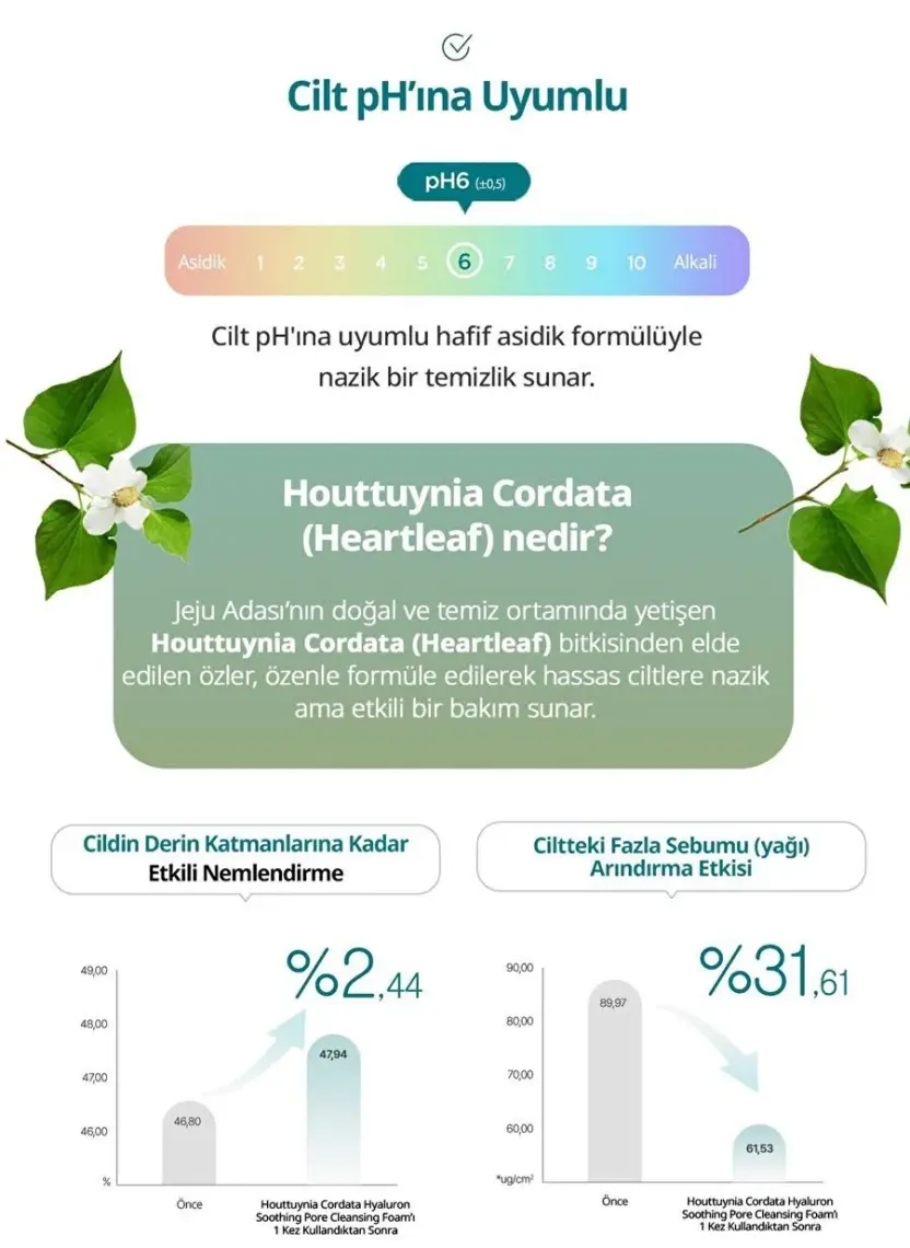 Goodal Heartleaf Calming pH Balancing Cleansing Foam - Houttuynia Cordata Özlü pH Dengeleyici Köpük Temizleyici