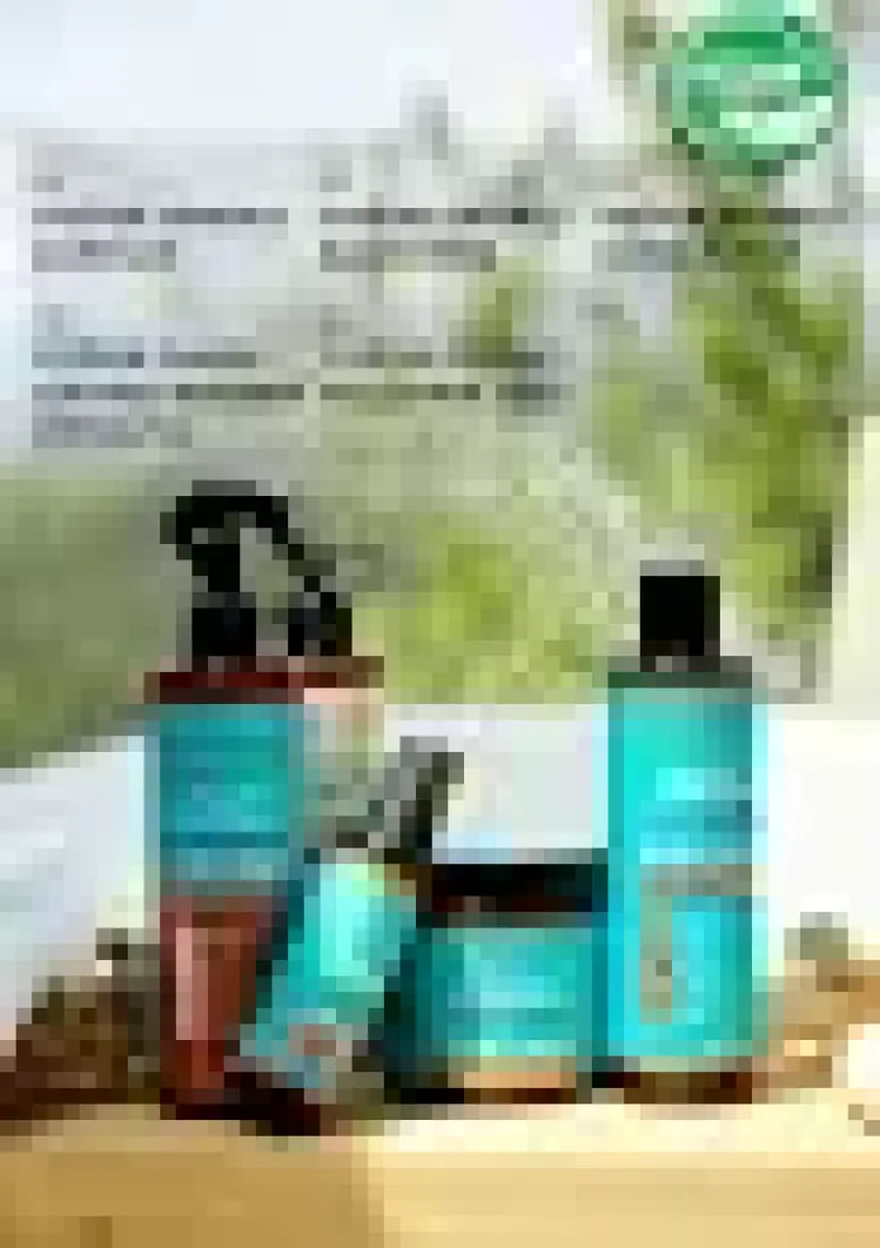 Panorama Professional Bond Plex Yoğun Onarıcı Güçlendirici Saç Bakım Maskesi - 500 ml / 12 Etki 1 Arada / 4 Özel Yağ ile zenginleştirilmiş formül