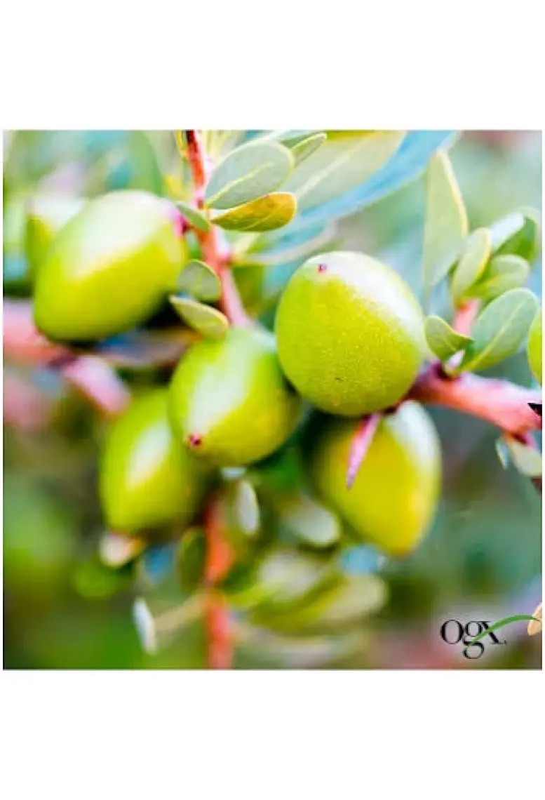 OGX Yenileyici Argan Oil of Morocco Saç Bakım Yağı 100 ml