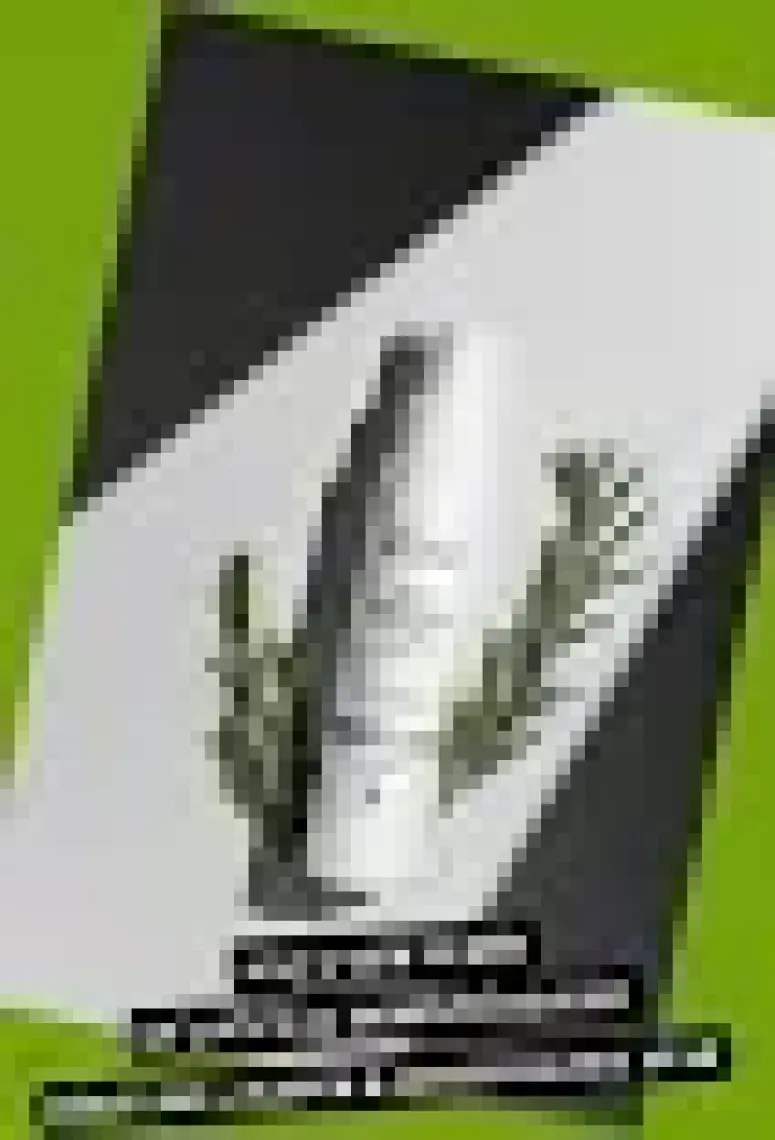 Becka %100 Doğal Biberiye Suyu 100 ml