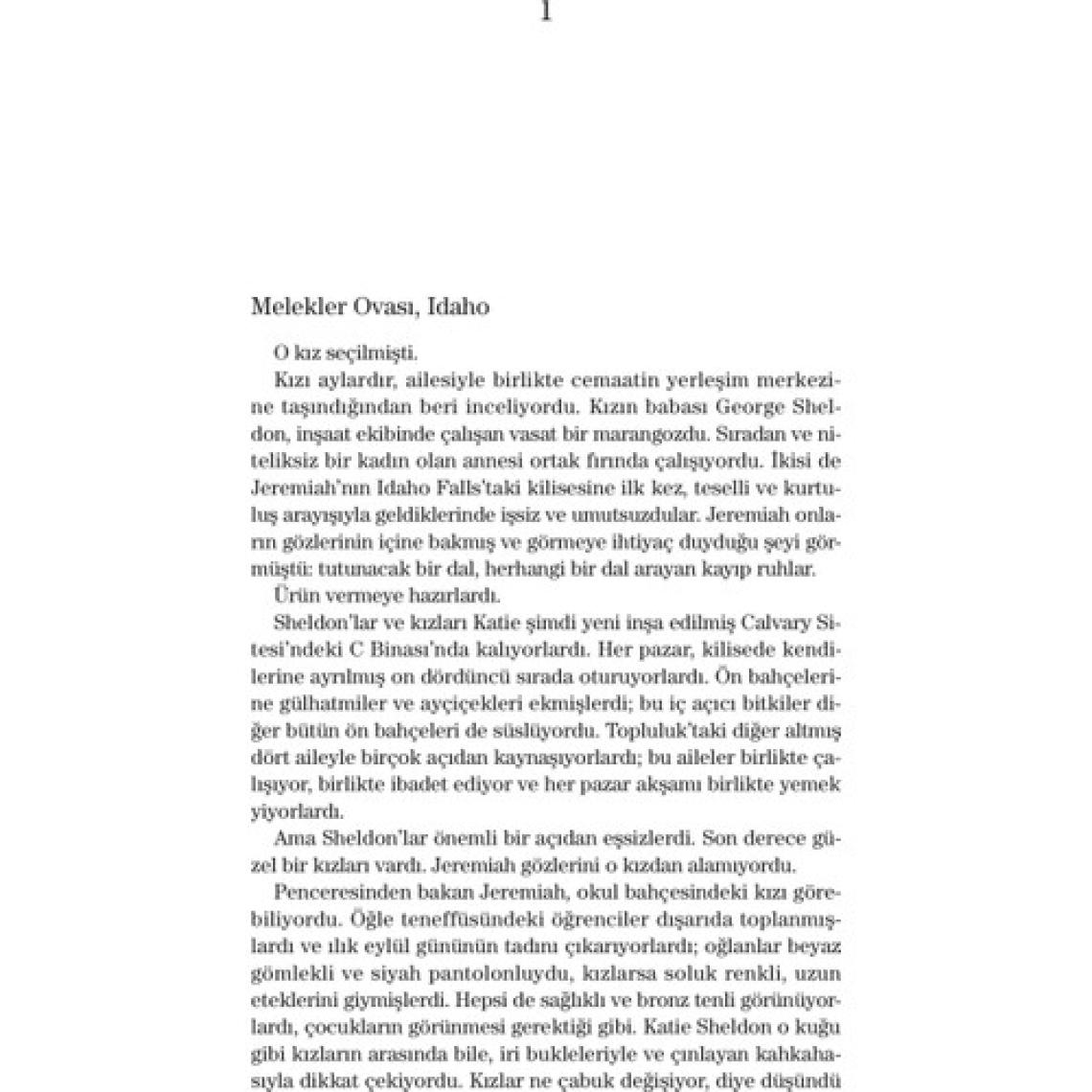 Buz Gibi Soğuk - Tess Gerritsen