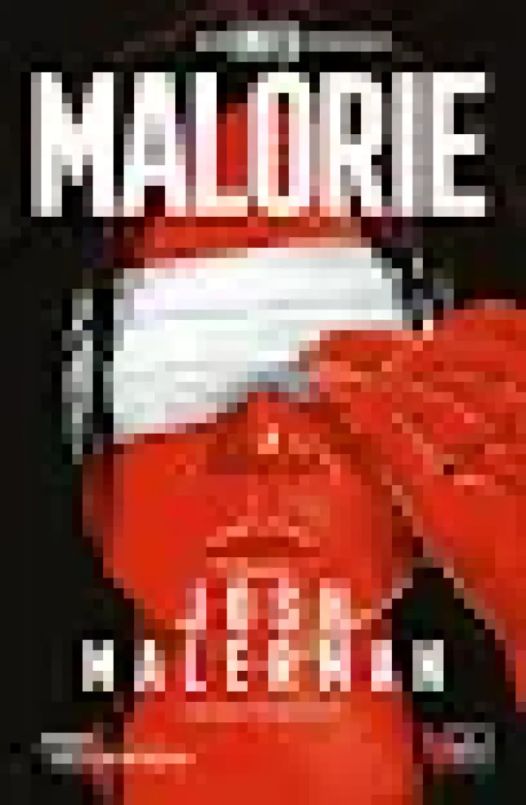Malorie Bir Kafes Romanı  -  Josh Malerman