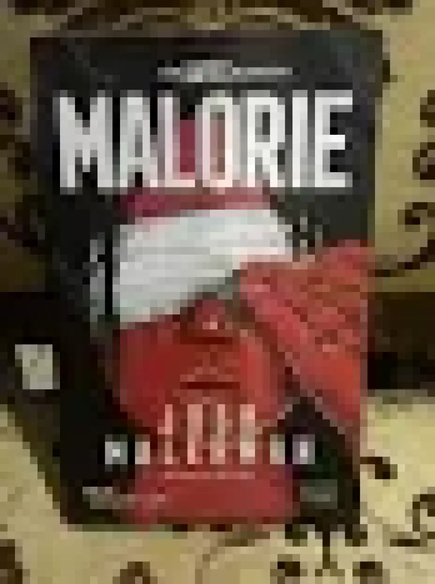 Malorie Bir Kafes Romanı  -  Josh Malerman
