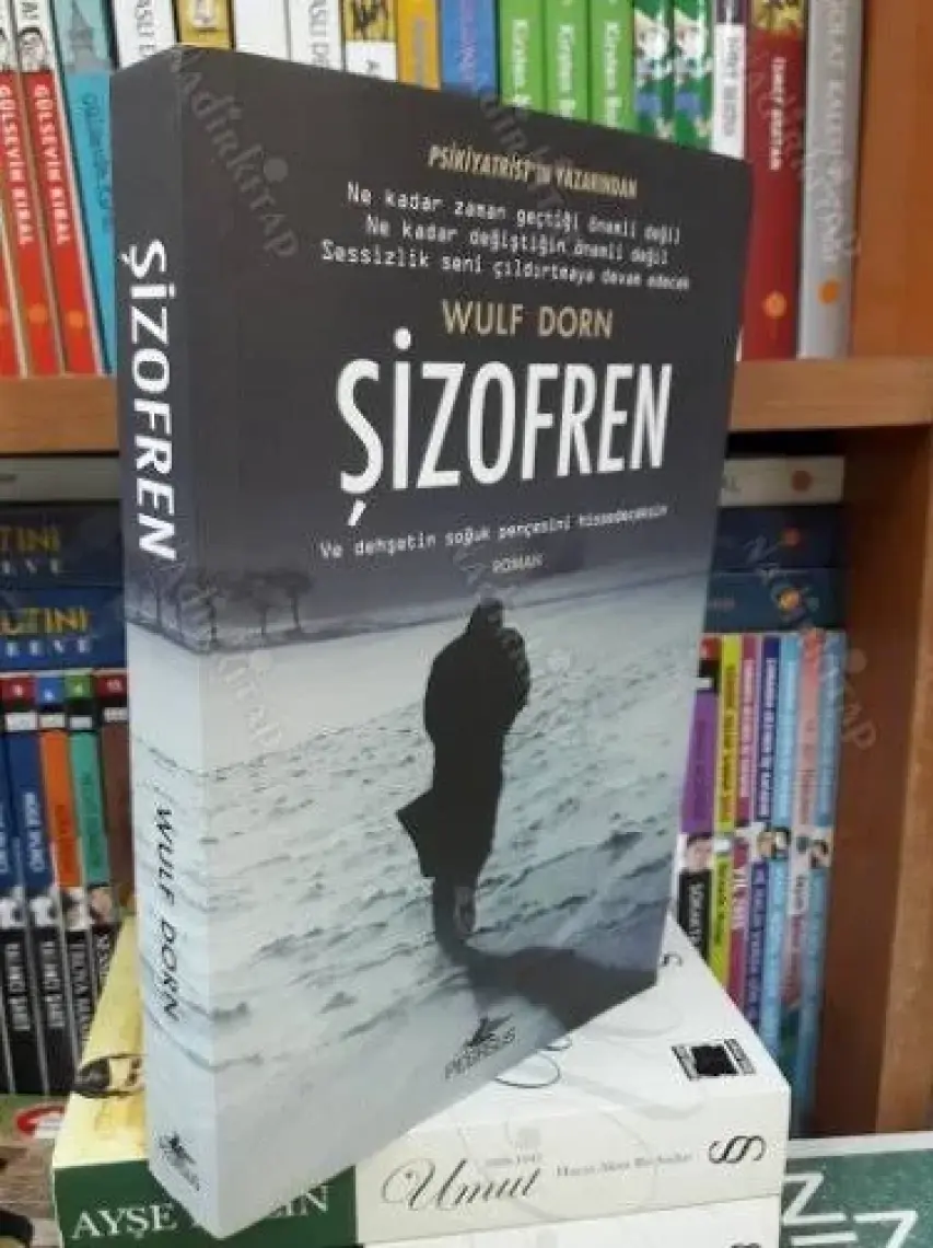 Şizofren - Wulf Dorn