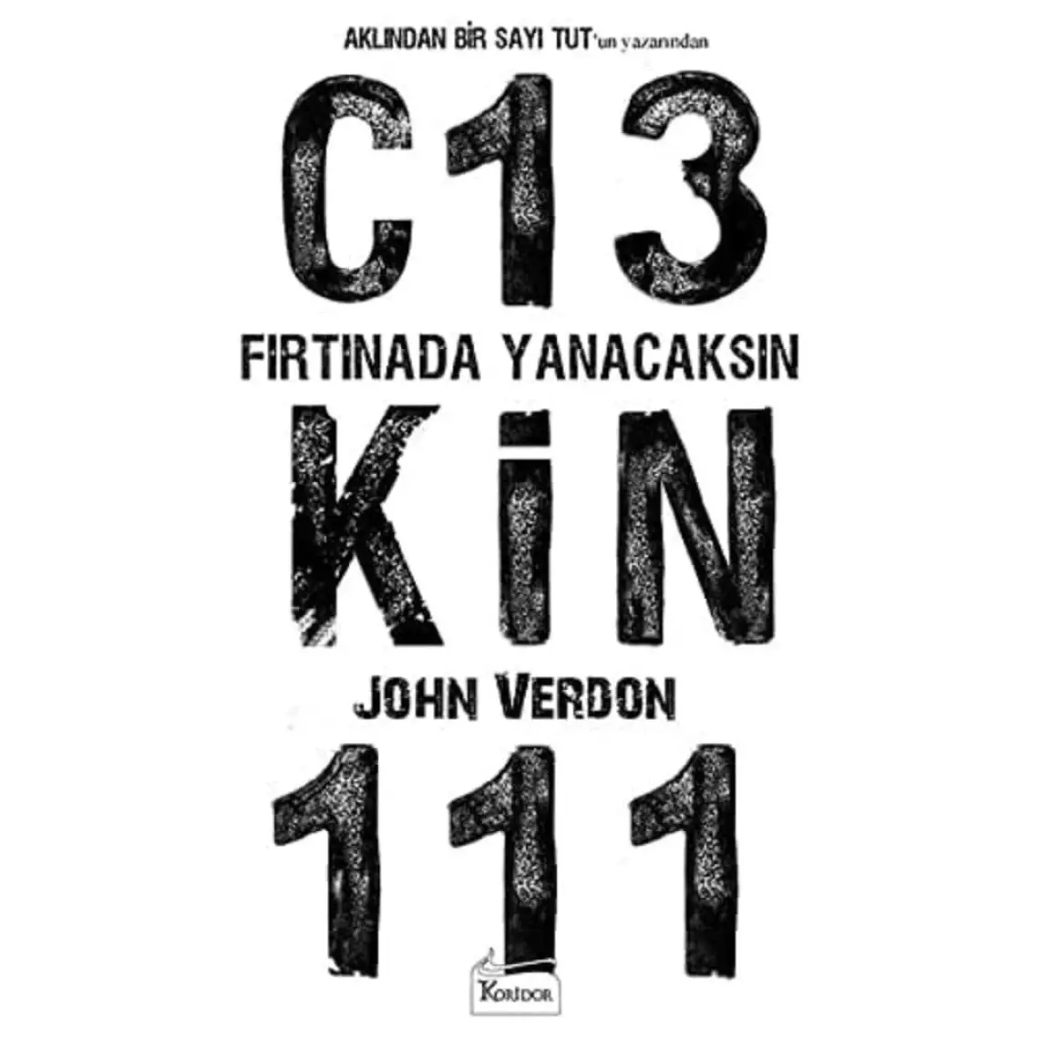 Fırtınada Yanacaksın - John Verdon