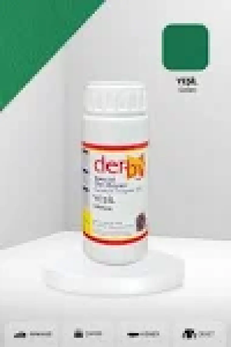 Derby Special Deri Boyası / Mont - Eşya - Çanta - Cüzdan - Kemer 100 ml - Kartela Renkleri