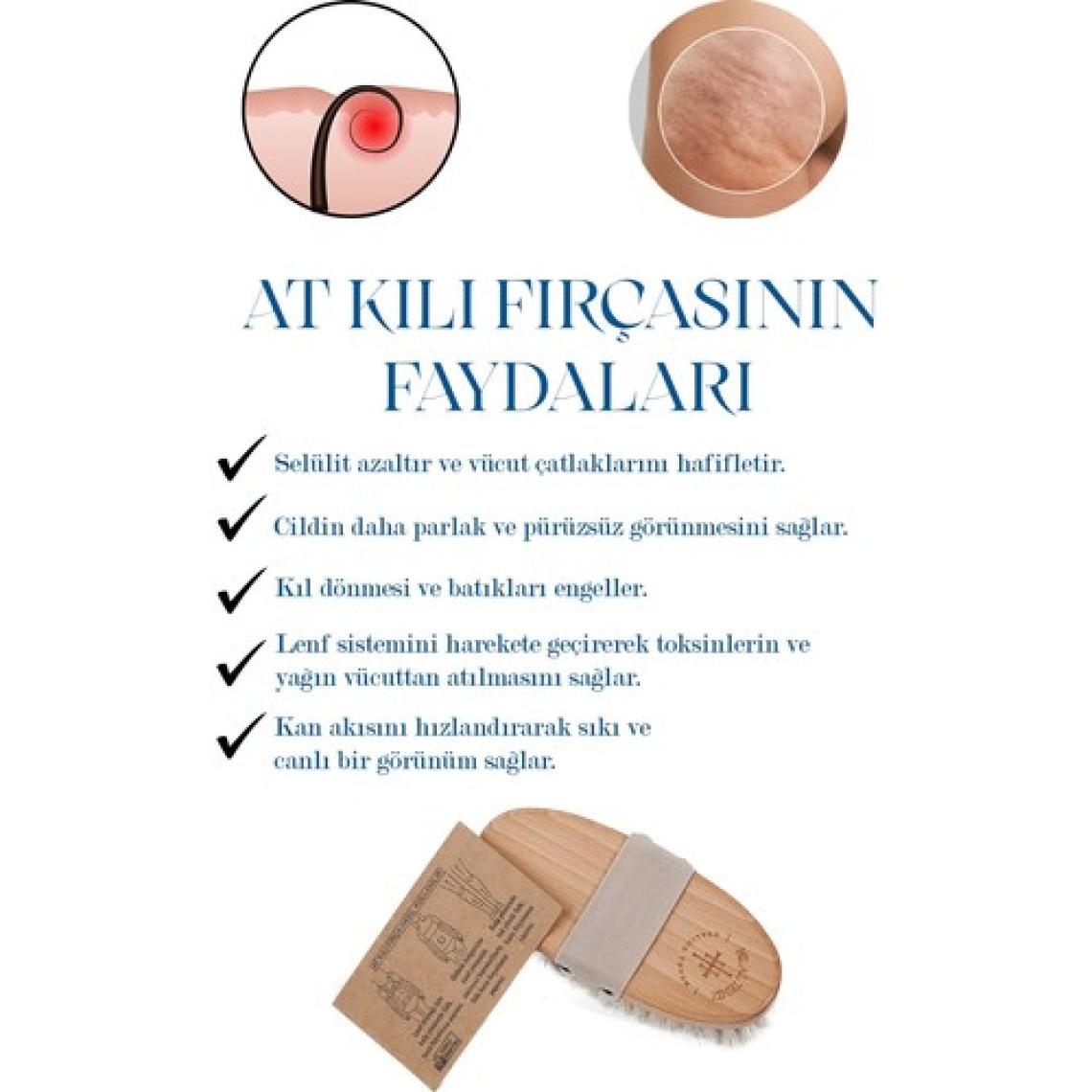Ht Healing Touch Doğal At Kılı Fırçası