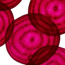 Pelcare Oh June Tinted Lip & Cheek Balm 100% Vegan - Yenilebilir İçerik