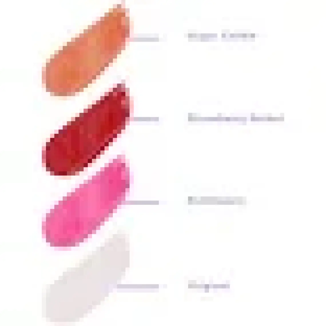 Cream Co. 3in1 Lip Balm 403 | Nemlendirici Parlatıcı Dudak Bakım | Bej Kurabiye | Hyaluronik Asit Seramid