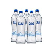 Erikli Cam Şişe 0.33 ml 12'li Paket Su