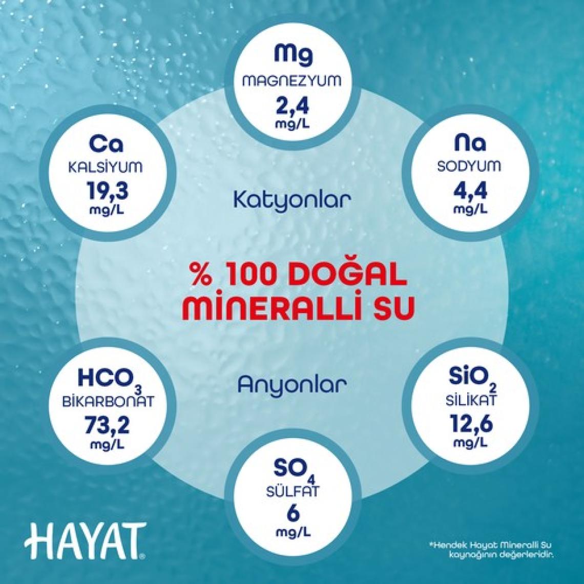 Hayat Küçük Çocuklara Özel Ambalajlı Su 6x330 ML