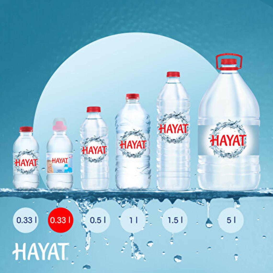 Hayat Küçük Çocuklara Özel Ambalajlı Su 6x330 ML