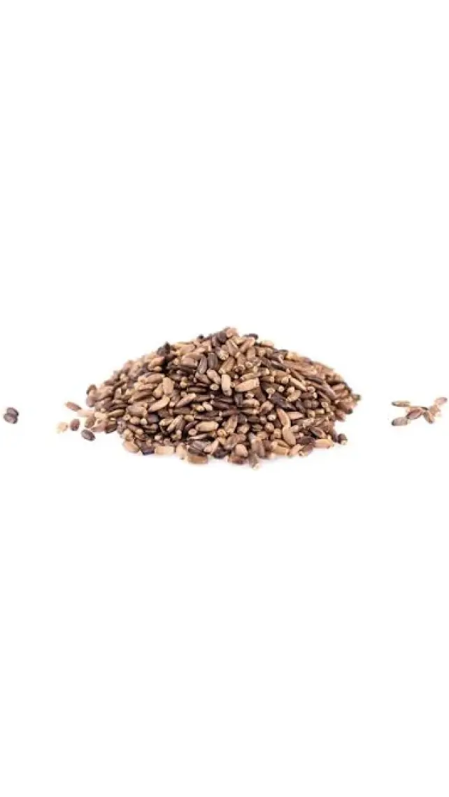 Deve Dikeni Tohumu 1 Kg - Milk Thistle Seeds 1kg