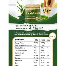 Nutraxin Vegan Kolajen Booster 300 gr - (Pea Protein-Spirulina-Vitamin C-Hyaluronik Asit-Glutensiz)