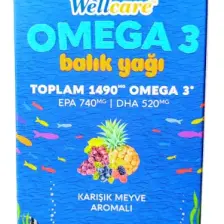 Wellcare Omega 3 Fish Oil Karışık Meyve Aromalı Balık Yağı 150 ml