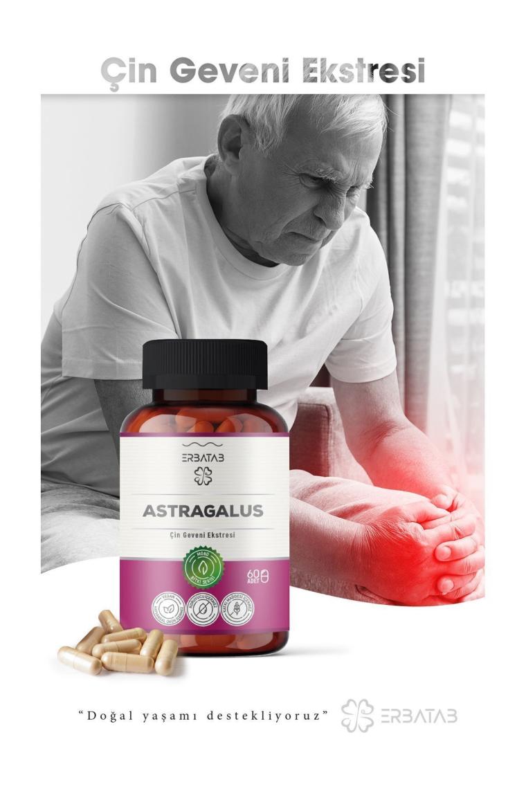 Erbatab Astragalus Çin Geveni Ekstresi 60 Kapsül