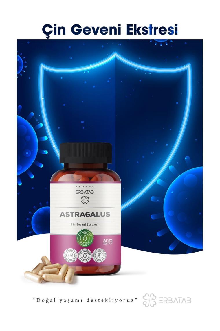 Erbatab Astragalus Çin Geveni Ekstresi 60 Kapsül