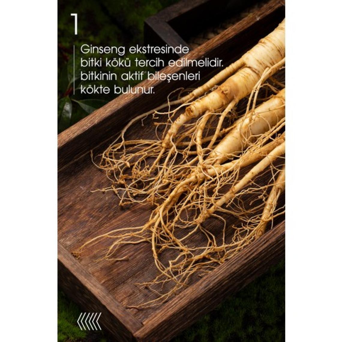 Erbatab Kırmızı Kore Ginsengi Ekstresi Korean Ginseng 30 Kapsül