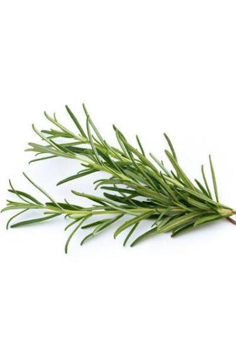 Balen Biberiye Yağı 20 Ml
