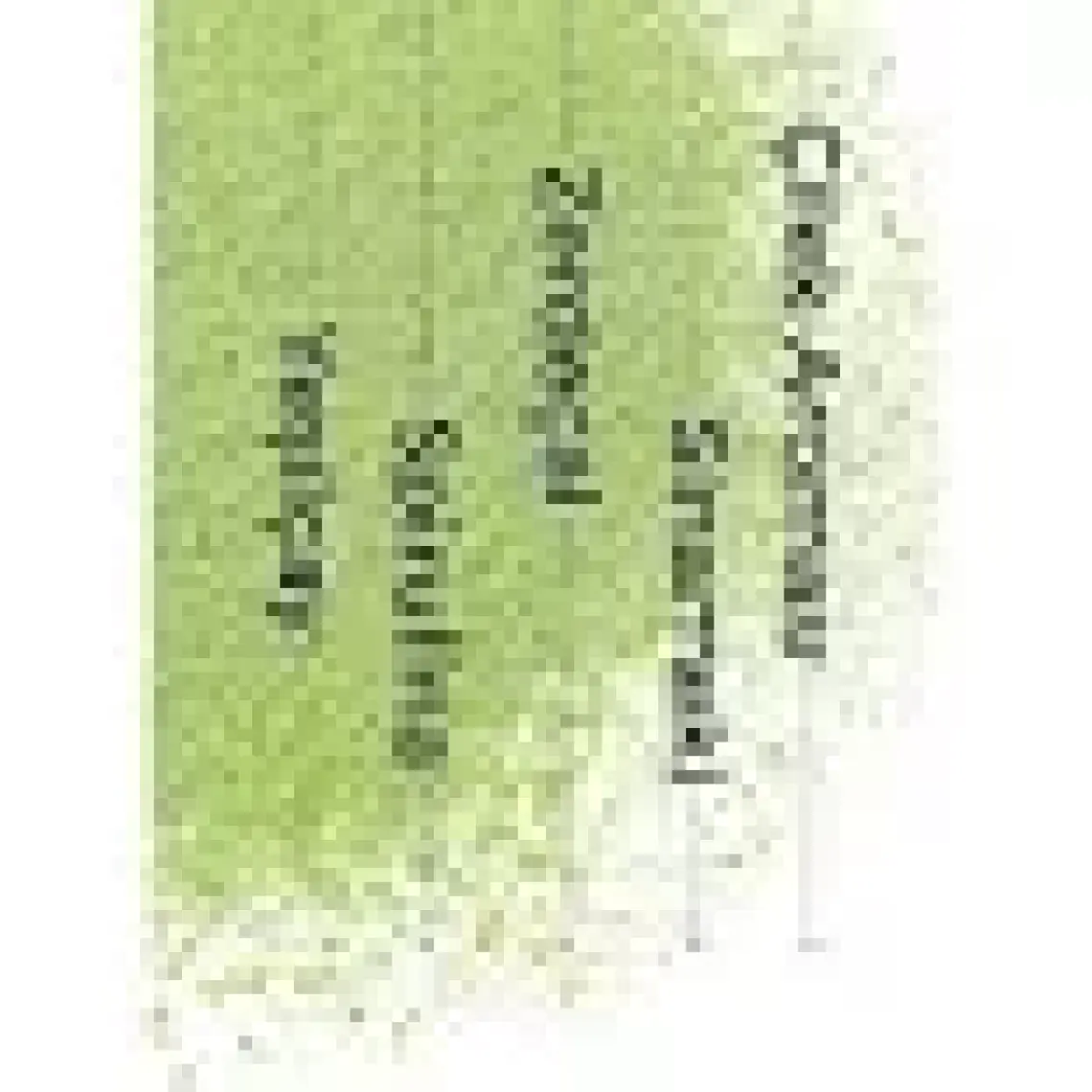 Green Label Japanese Matcha 30 × 5 gr