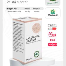 Anti Reishi Mantarı - 90 Kapsül