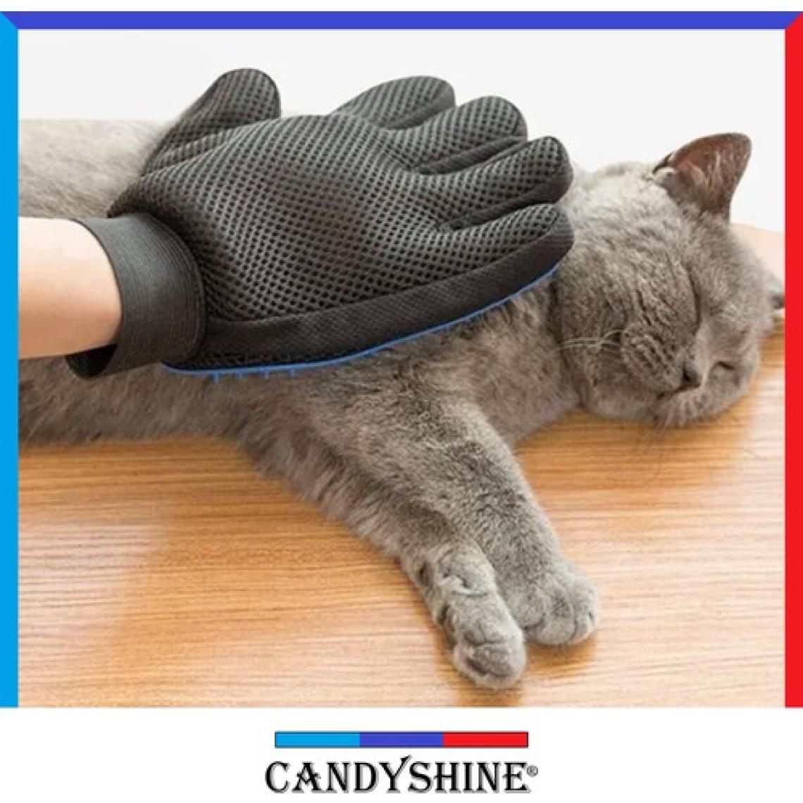 CandyShine Kedi Köpek Tüy Toplama Tarama Eldiveni
