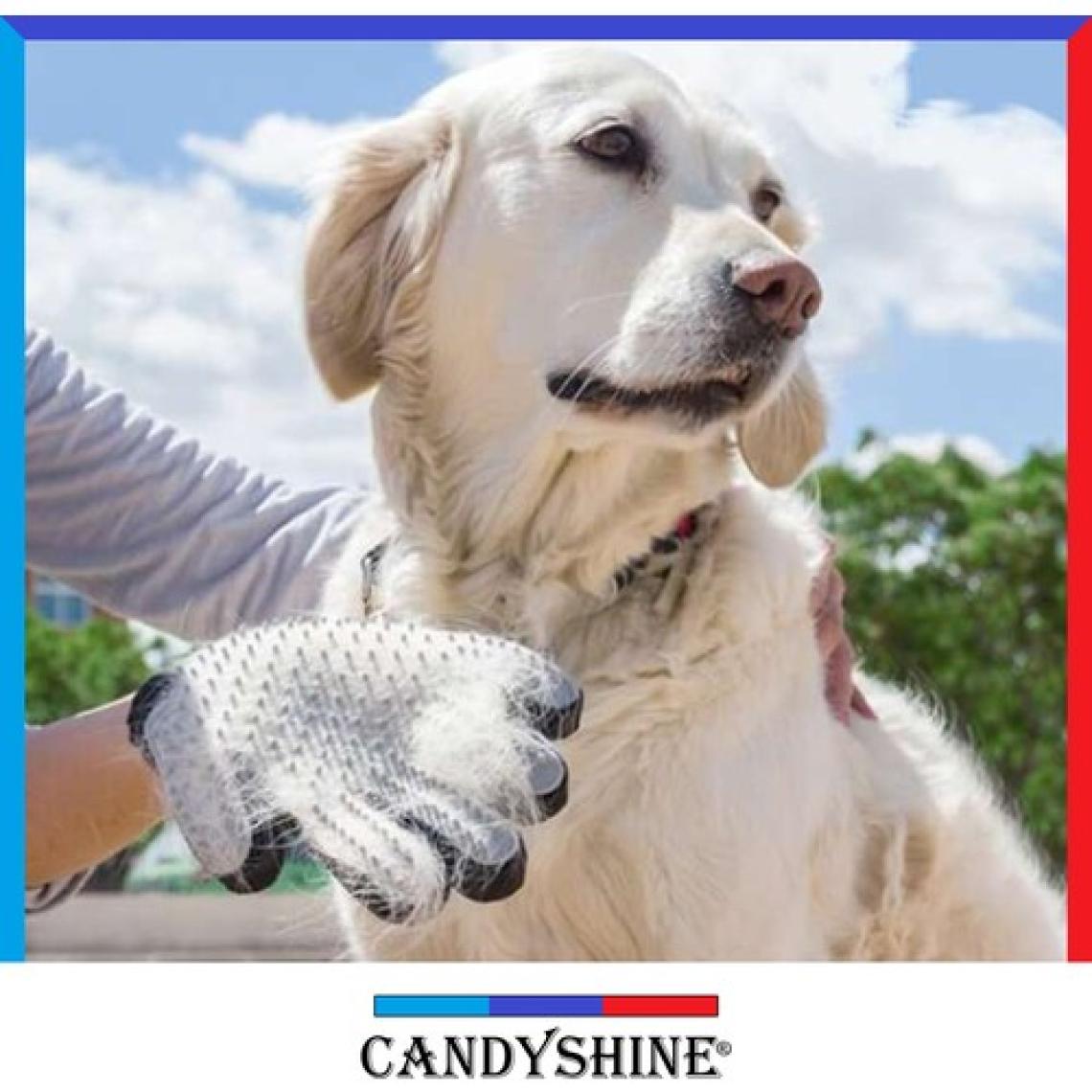 CandyShine Kedi Köpek Tüy Toplama Tarama Eldiveni