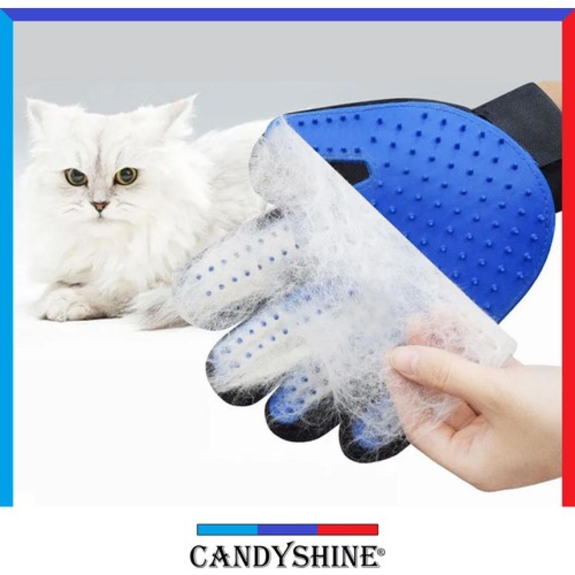CandyShine Kedi Köpek Tüy Toplama Tarama Eldiveni
