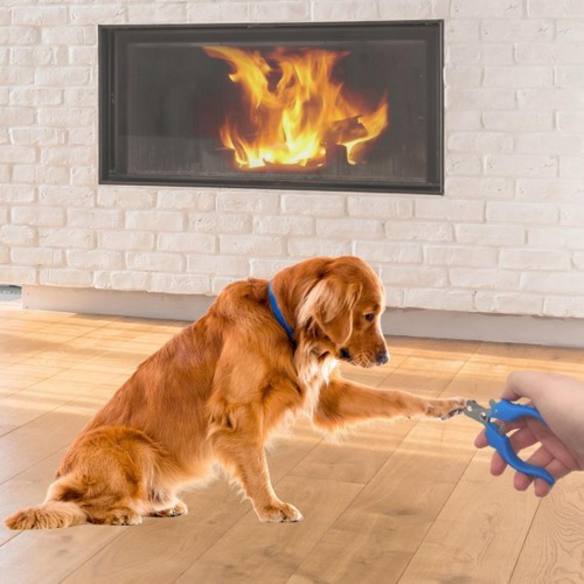 Hayalimkapimda Buffer Evcil Hayvan Kedi Ve Köpek Paslanmaz Çelik Yaylı Tırnak Makası Ve Düzeltme
