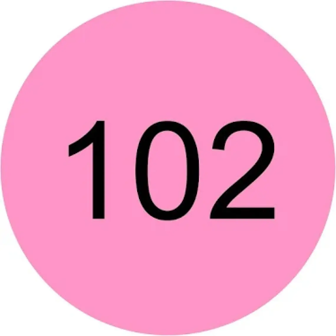 Dudak Parlatıcısı Parlak Juicy Bomb 102