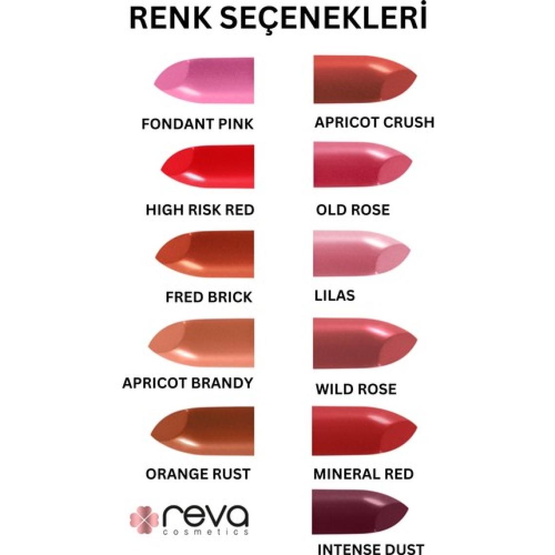 Reva Shimmer Lipstick Işıltı Ruj 4 gr No: 906 Vegan & Temiz İçerik
