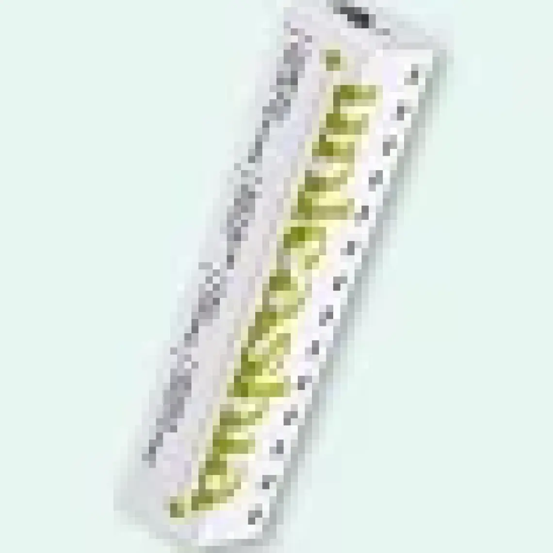 Unleashia Hug Velvet Tint No:3 Share, Vegan Mat Ruj